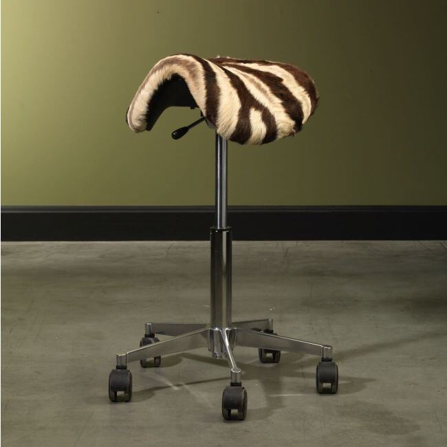 Siège selle Zèbre 1
