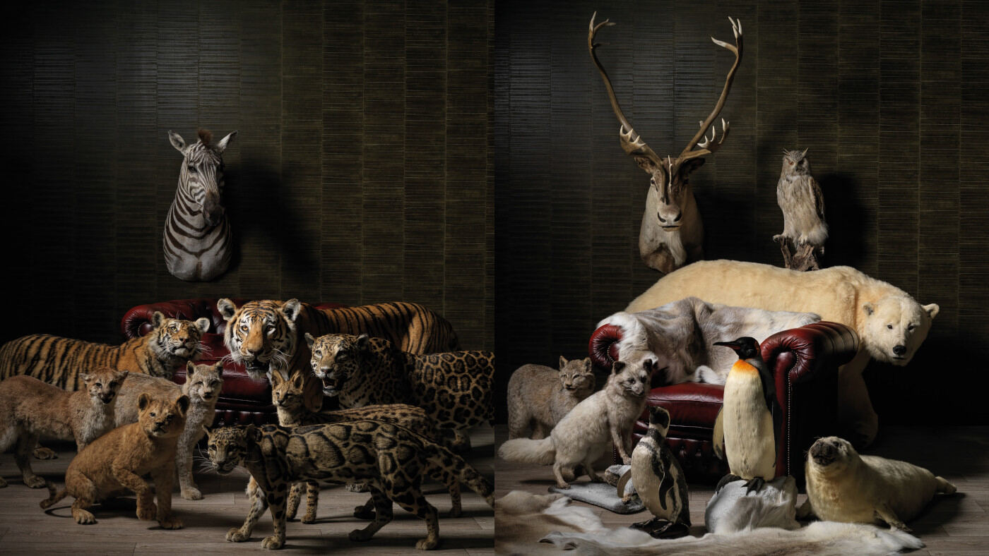 Taxidermie By Max