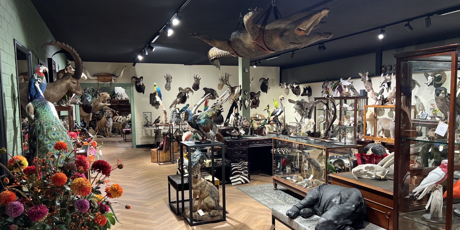 Showroom de By Max avec des pièces de taxidermie uniques